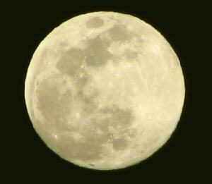25 super moon.jpg